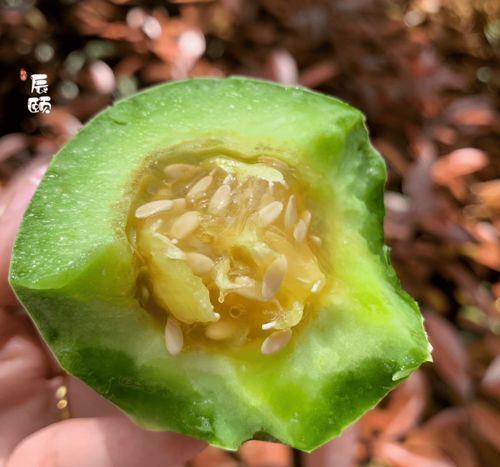 香蜜吃瓜,揭秘娱乐圈背后的甜蜜与苦涩