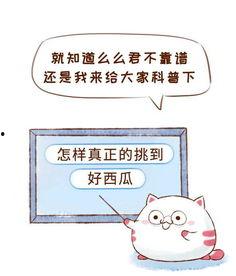 拒绝做 吃瓜群众,主动参与社会建设