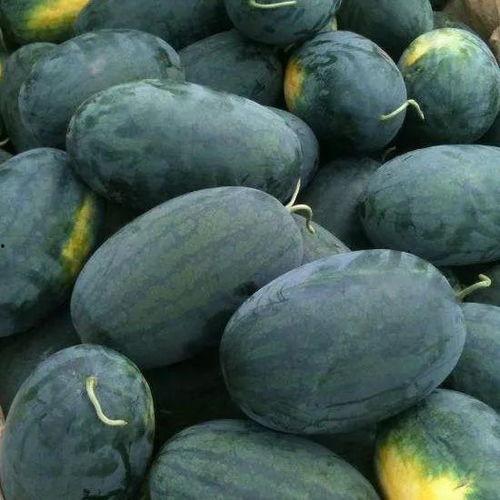 京城吃瓜,揭秘京城美食圈的那些事儿