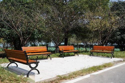 武体长椅吃瓜,校园生活趣味横生