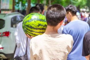 吃瓜被别人拍照,镜头下的尴尬与趣味