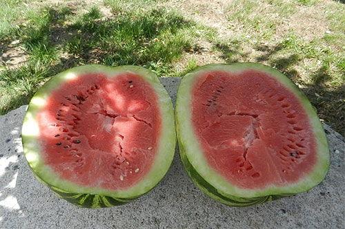 梦见别人吃白色瓜,揭秘梦中他人品尝白瓜的神秘寓意