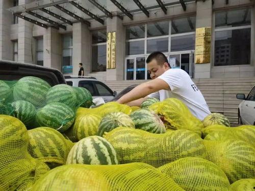乌海小区吃瓜视频,邻里琐事引发网友热议