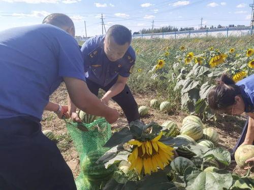 乌海小区吃瓜视频,邻里琐事引发网友热议