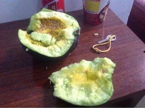 东北农村吃的瓜,丰收时节的甜蜜记忆