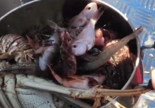 渔民出海吃瓜,意外收获瓜果飘香