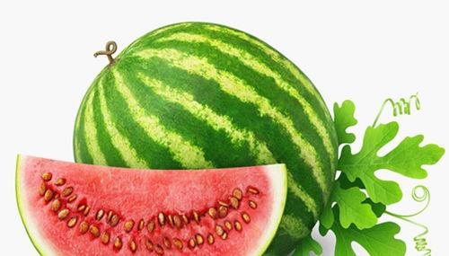 花店吃瓜情报处,揭秘花店里的那些秘密趣事