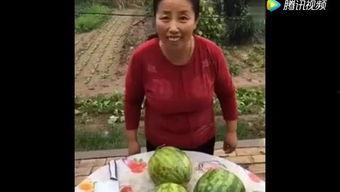 小张吃瓜记,揭秘娱乐圈幕后故事