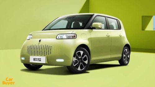 吃瓜牌汽车,揭秘瓜界新宠，畅享绿色出行新体验