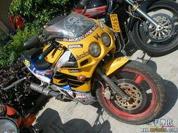 泉州机车圈吃瓜,吃瓜群众揭秘圈中秘闻