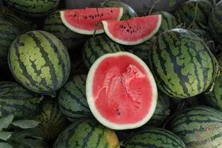 用钱买瓜吃,揭秘用钱买瓜吃的奇妙体验