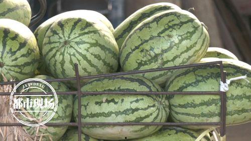 用钱买瓜吃,揭秘用钱买瓜吃的奇妙体验