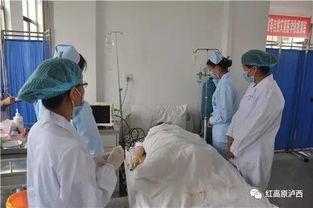 市医院吃瓜事件,真相揭秘与公众反响盘点