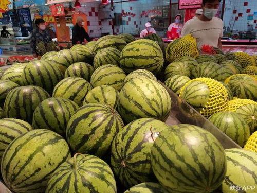 市医院吃瓜事件,真相揭秘与公众反响盘点