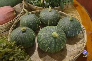 滇瓜怎么吃
