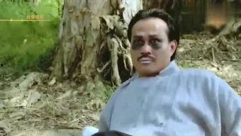 英叔吃瓜,揭秘娱乐圈幕后故事