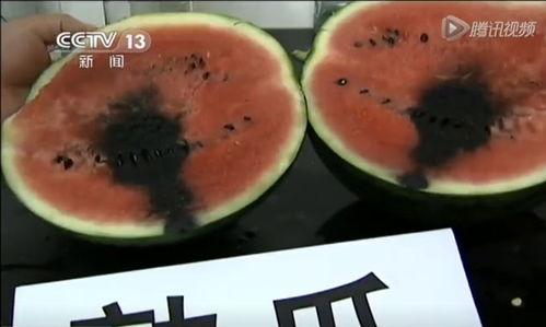 发疯的吃瓜视频大全,笑到肚子疼的瞬间回顾