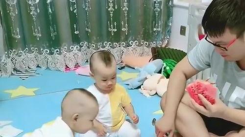 哈七爸爸吃瓜,揭秘娱乐圈幕后真相