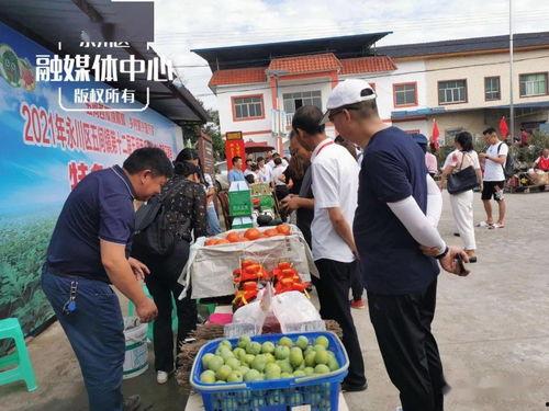 永川吃瓜群众案件,网络谣言引发的司法风波