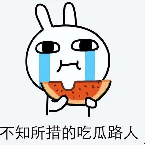 吃瓜神图壁纸,趣味横生的视觉盛宴