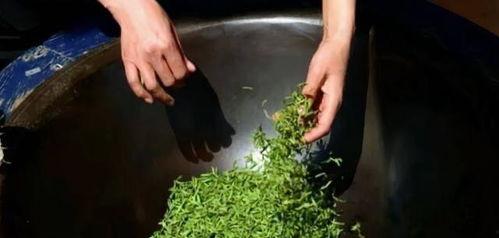 吃瓜被害,揭秘网络谣言背后的真相