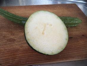 吃双尾瓜,探寻独特风味与营养奥秘