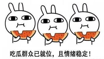 吃瓜看戏搞笑句子说说