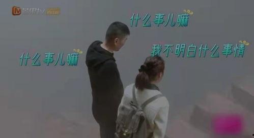 秦海璐吃瓜腹肌,健身成果引网友热议