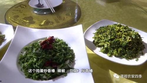 坡坡吃瓜,揭秘娱乐圈的甜蜜瓜田