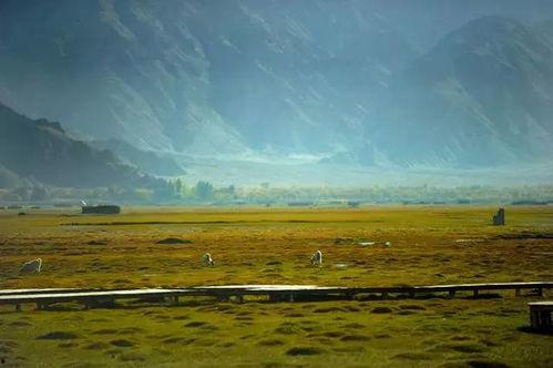 吉林沙漠吃瓜群众,吃瓜群众的沙漠奇遇记