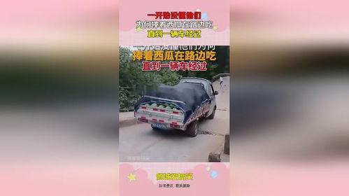 为何捧着西瓜路边吃瓜,西瓜成“网红”，捧瓜吃瓜成潮流现象