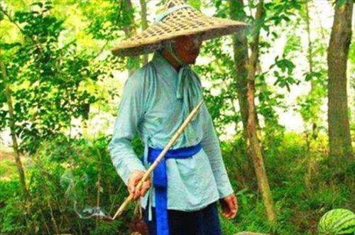 吃瓜芯,网络热词背后的文化现象