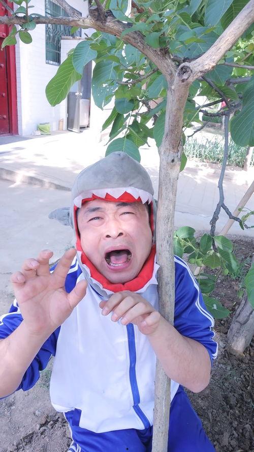 寄人篱下吃瓜,笑谈邻里瓜事