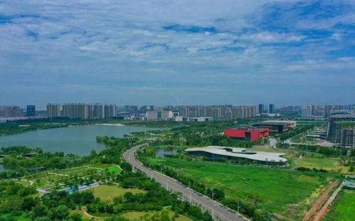 太白湖新区吃瓜,瓜果飘香，美食盛宴尽享其中