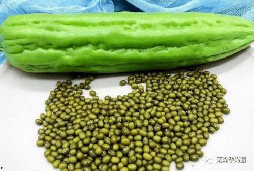 坐月子吃凉瓜,如何科学享用凉瓜养生