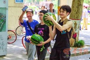 6大高校吃瓜,校园吃瓜风云录