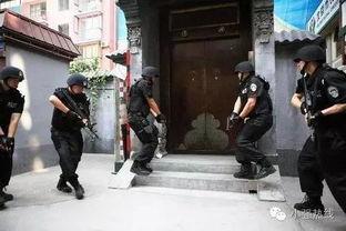 特警抓捕吃瓜女孩视频,吃瓜女孩事件全程回顾