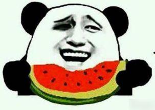 师傅吃瓜啦完整视频,揭秘视频背后的精彩瞬间