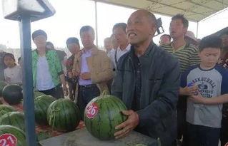 吃瓜群众kkv,揭秘娱乐圈幕后故事