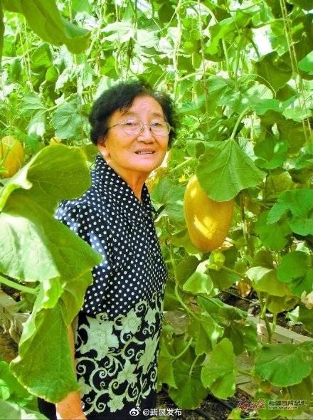 老奶奶吃伽师瓜,老奶奶的甜蜜伽师瓜之旅