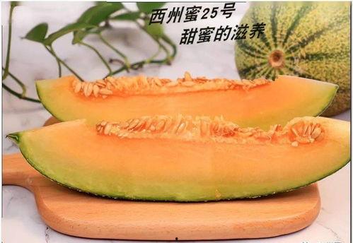 老奶奶吃伽师瓜,老奶奶的甜蜜伽师瓜之旅