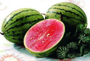 吃瓜植入病毒视频,揭秘病毒视频植入背后的秘密