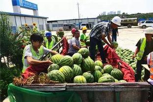 杭州吃瓜热心市民,见证城市生活百态