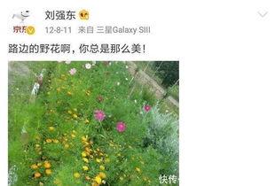 搬砖吃瓜视频,揭秘现代生活两种截然不同的生活态度