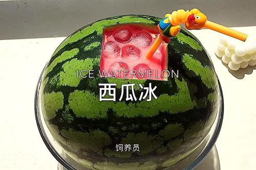 这样吃瓜最过瘾,这样吃瓜最过瘾！