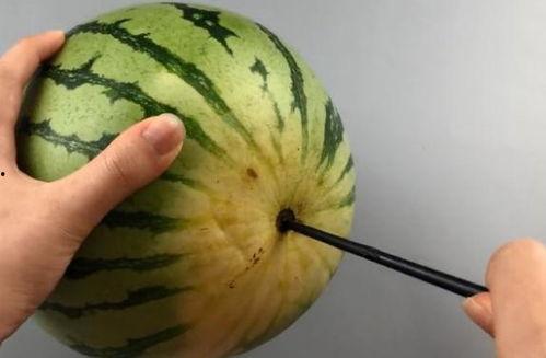 筷子夹西瓜吃瓜