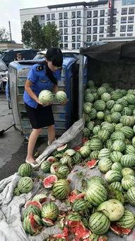 河南城改办吃瓜视频,揭秘城市改造背后的故事