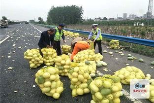 河南城改办吃瓜视频,揭秘城市改造背后的故事