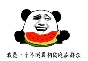 最牛吃瓜群众,网络舆论场上的风云人物