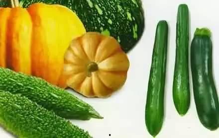 二十背篓吃瓜,一场别开生面的夏日盛宴